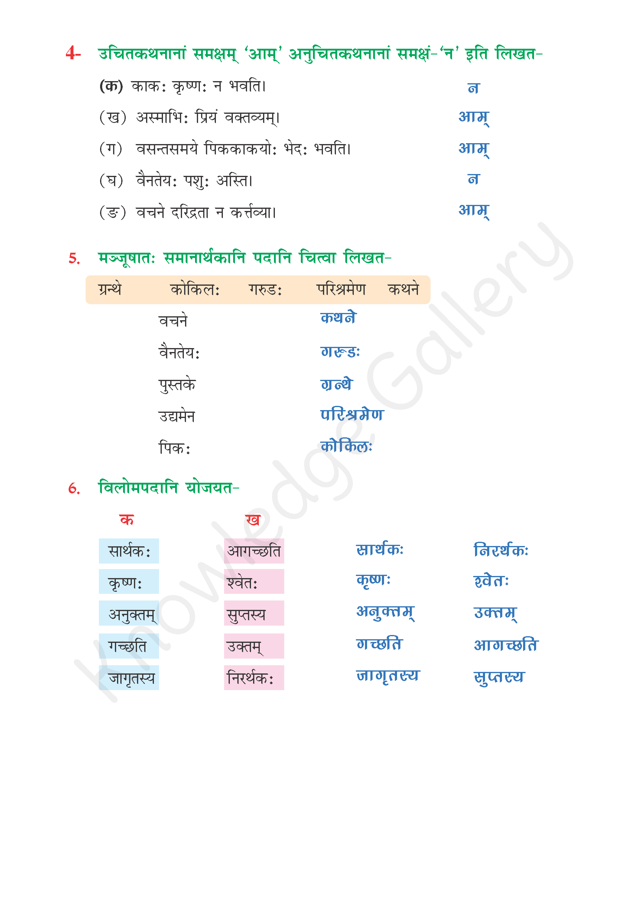 NCERT Solution For Class 6 Sanskrit Chapter 8 part 5