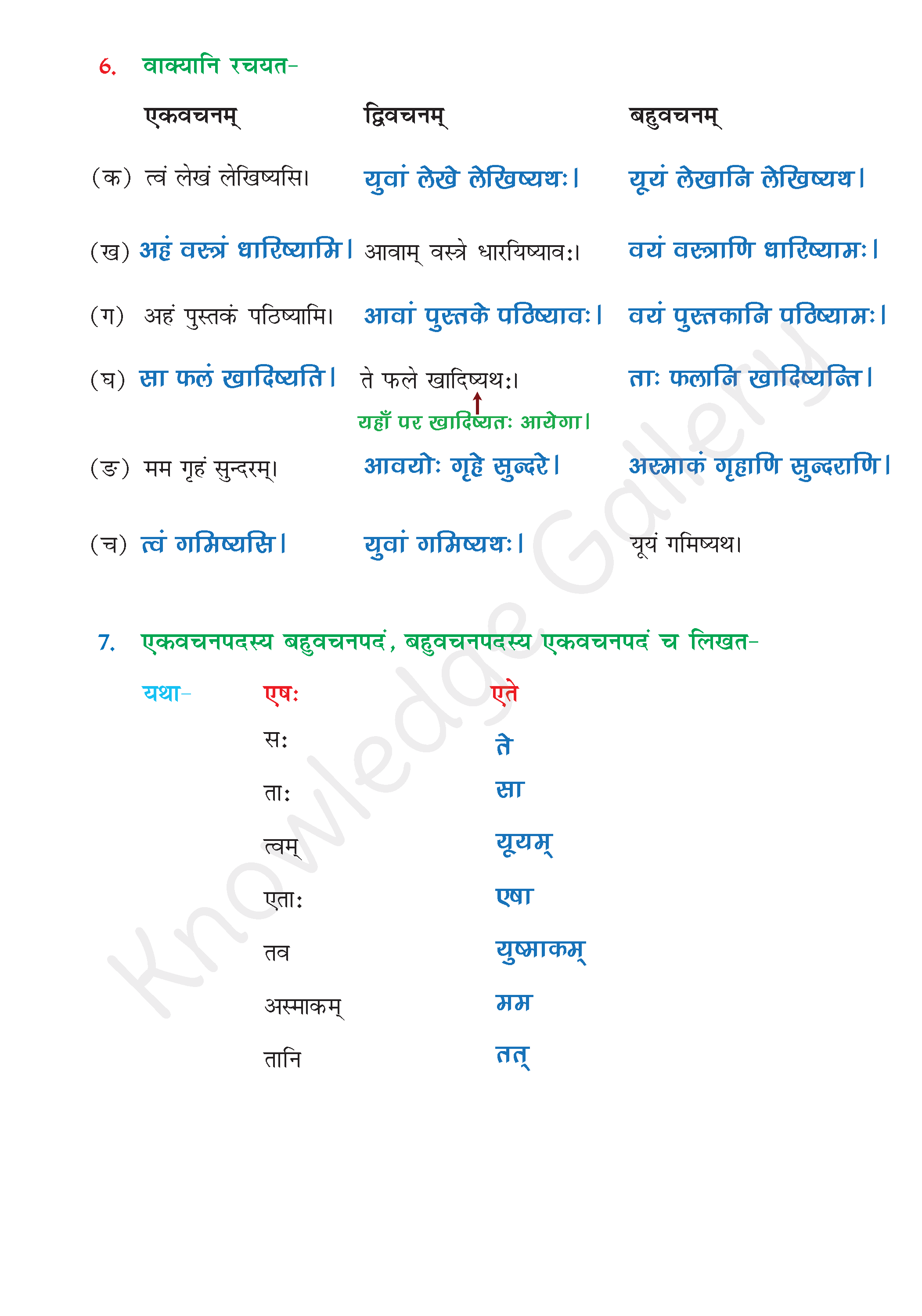 NCERT Solution For Class 6 Sanskrit Chapter 9 part 6