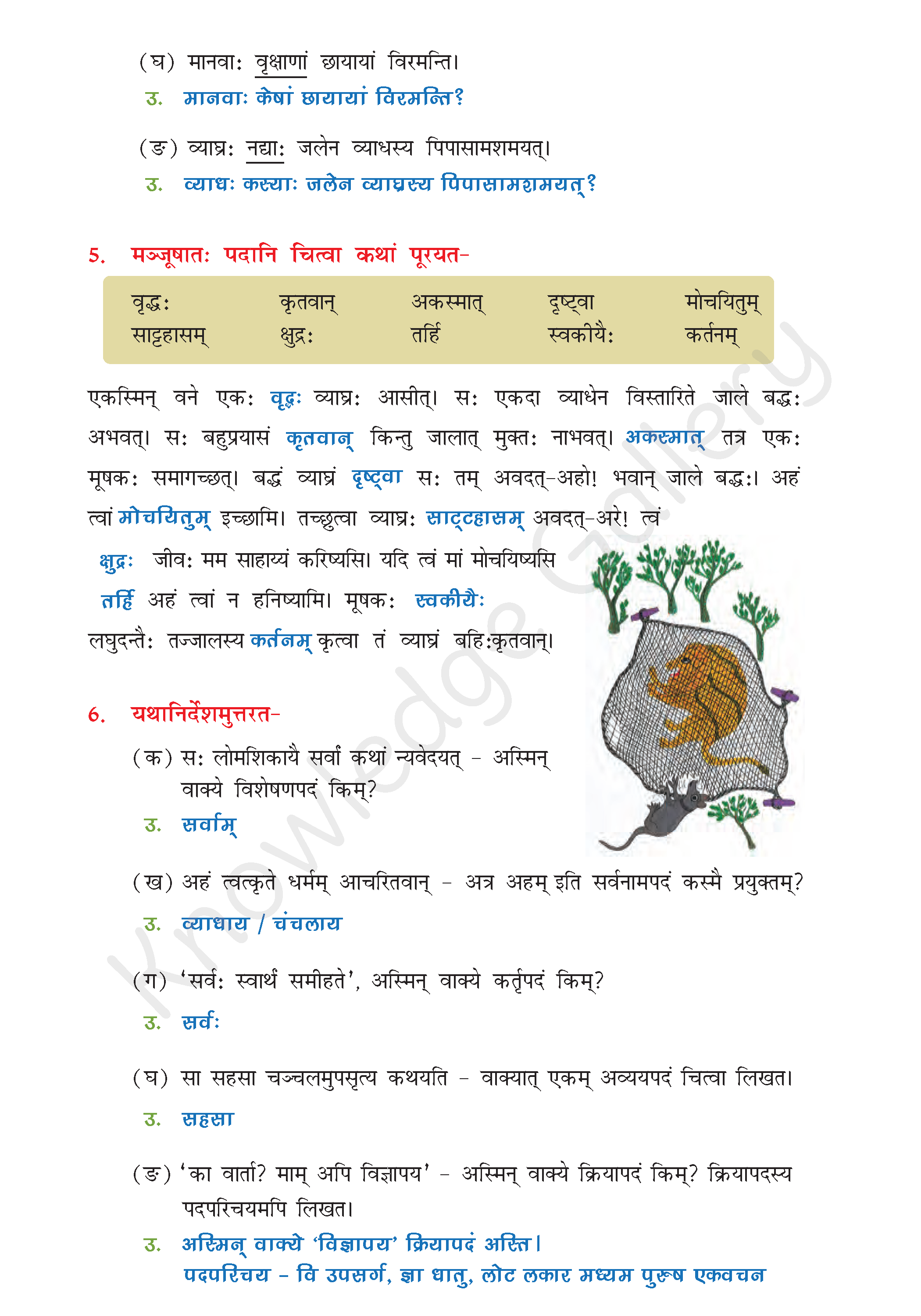 NCERT Solution For Class 8 Sanskrit Chapter 5 part 6