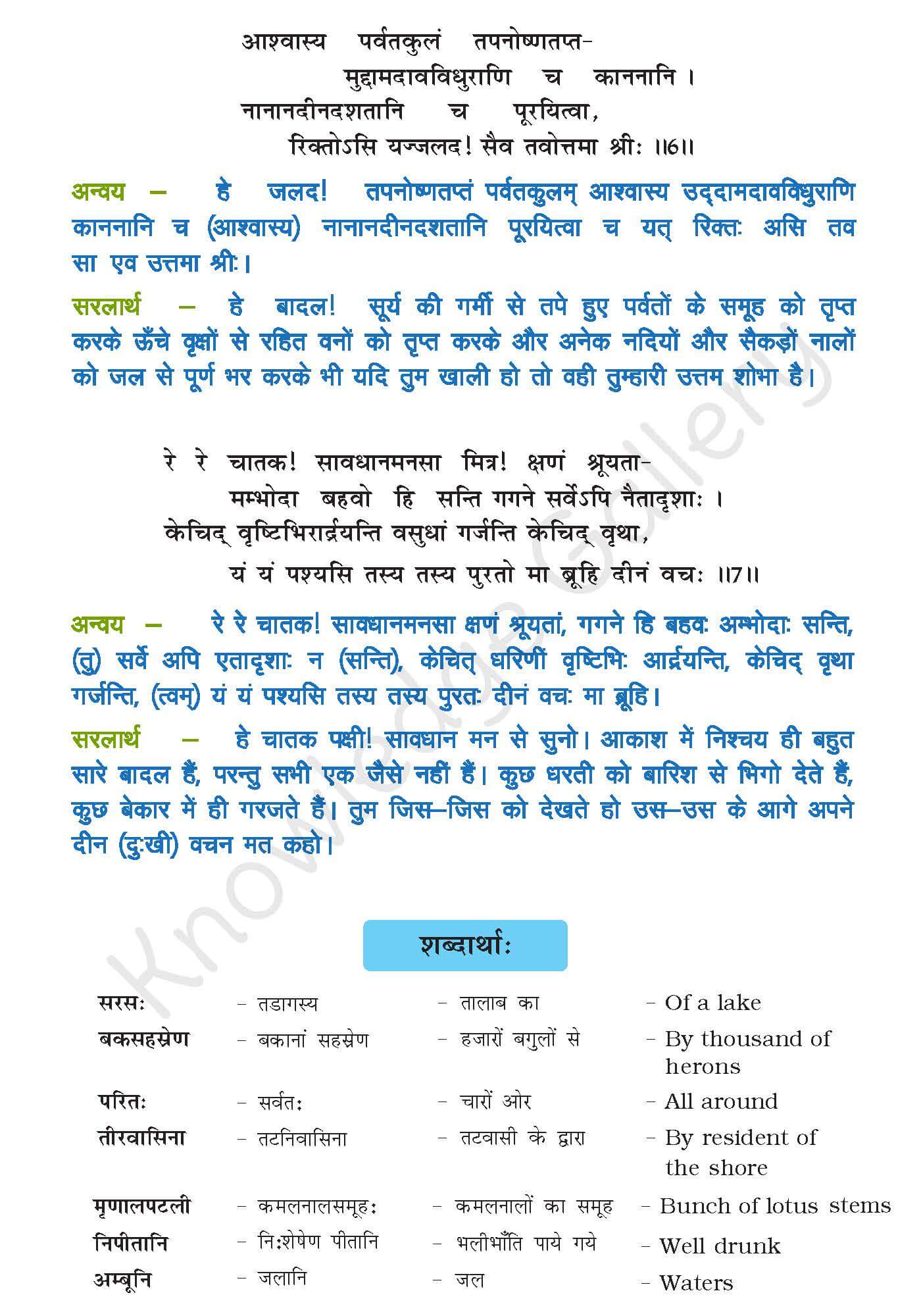 Class 10 Sanskrit Chapter 10 part 3