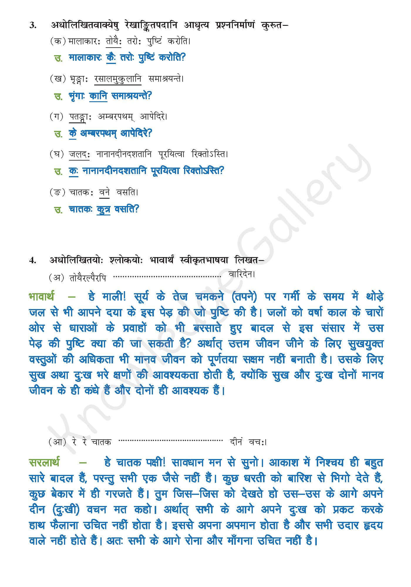 Class 10 Sanskrit Chapter 10 part 6