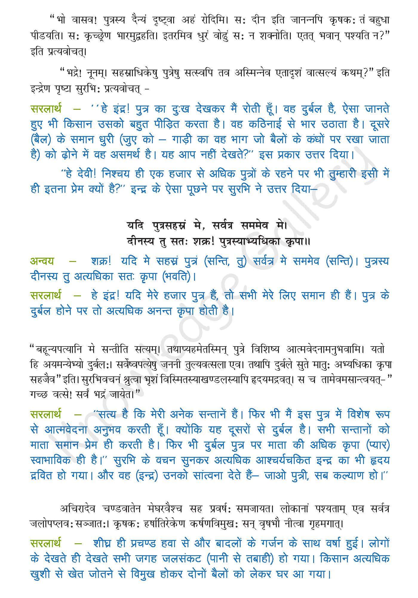 Class 10 Sanskrit Chapter 4 part 2