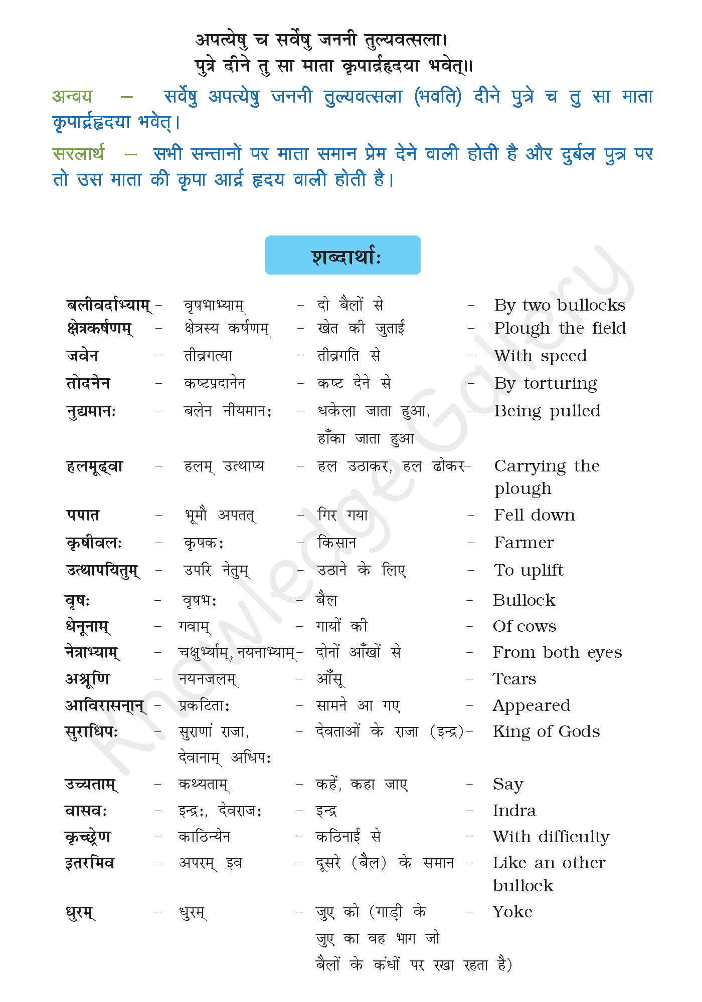 Class 10 Sanskrit Chapter 4 part 3
