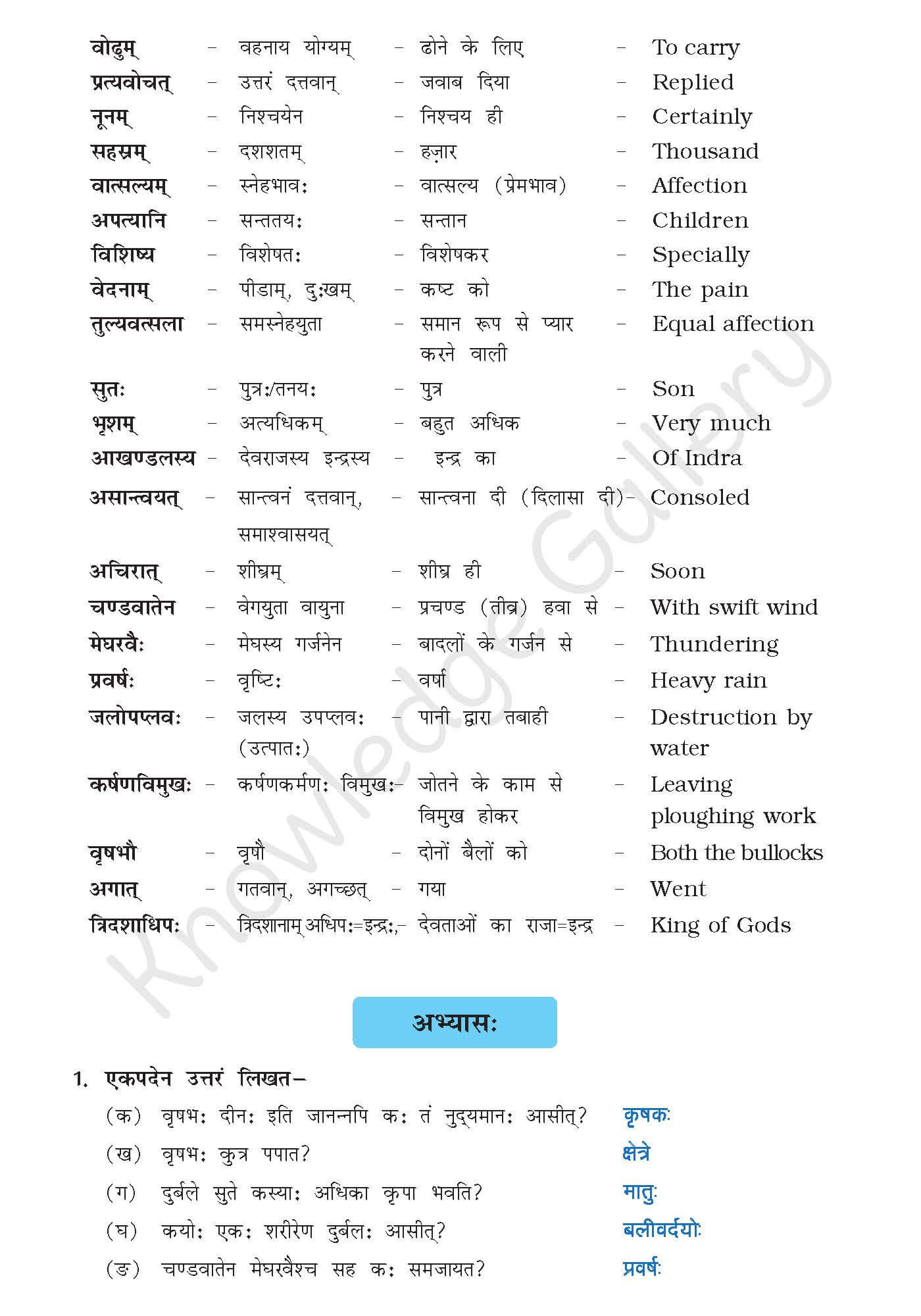 Class 10 Sanskrit Chapter 4 part 4