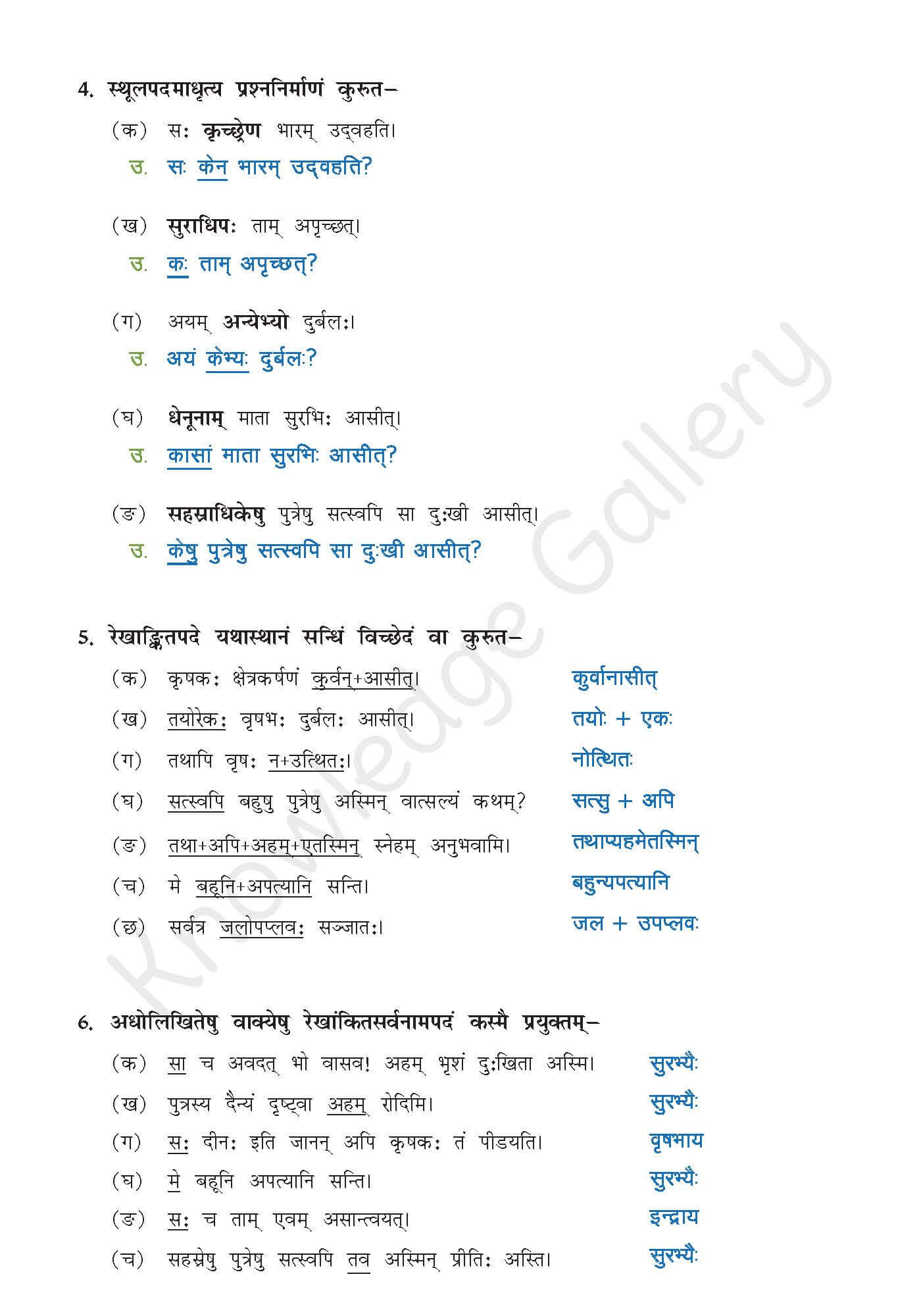 Class 10 Sanskrit Chapter 4 part 6