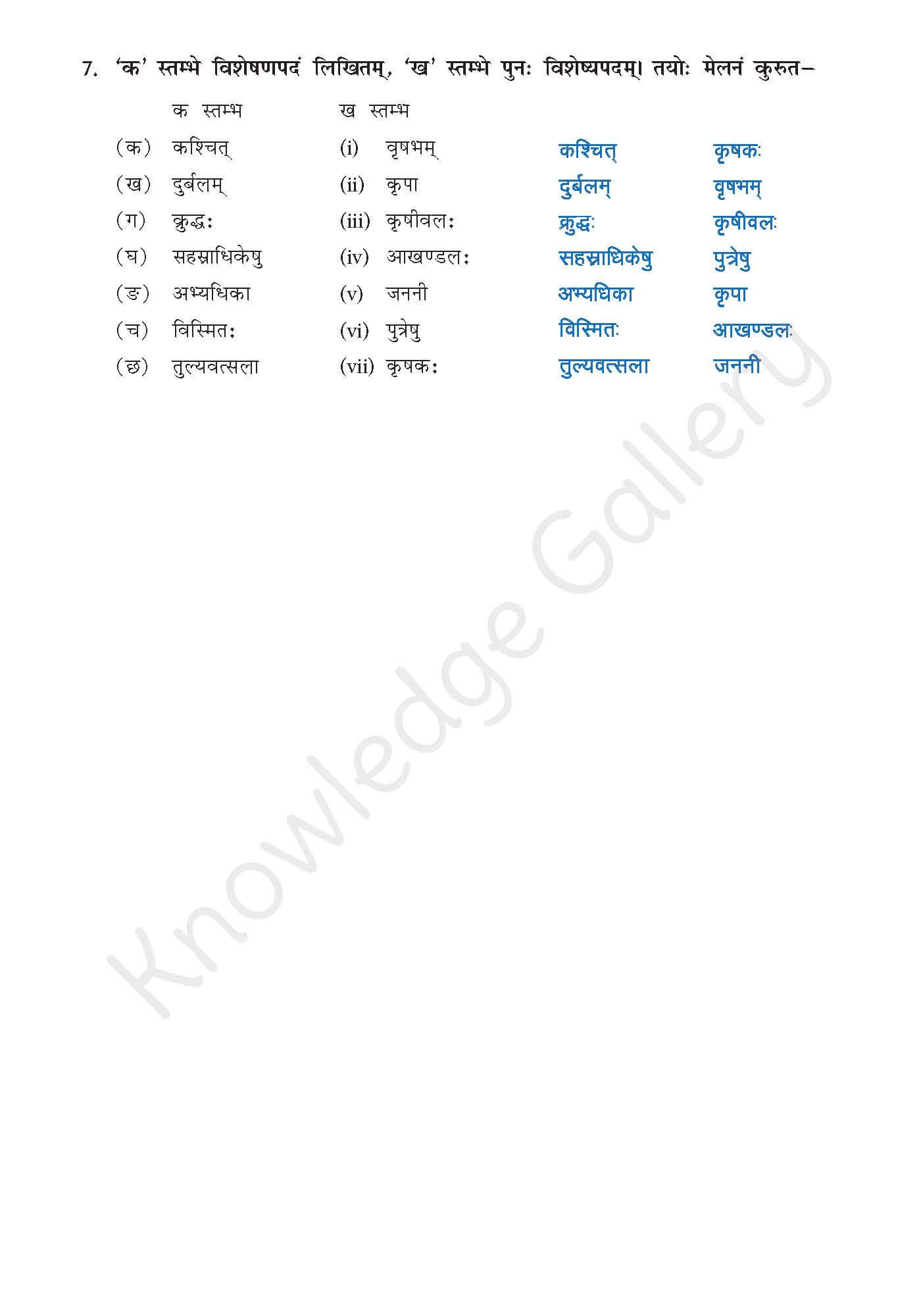 Class 10 Sanskrit Chapter 4 part 7