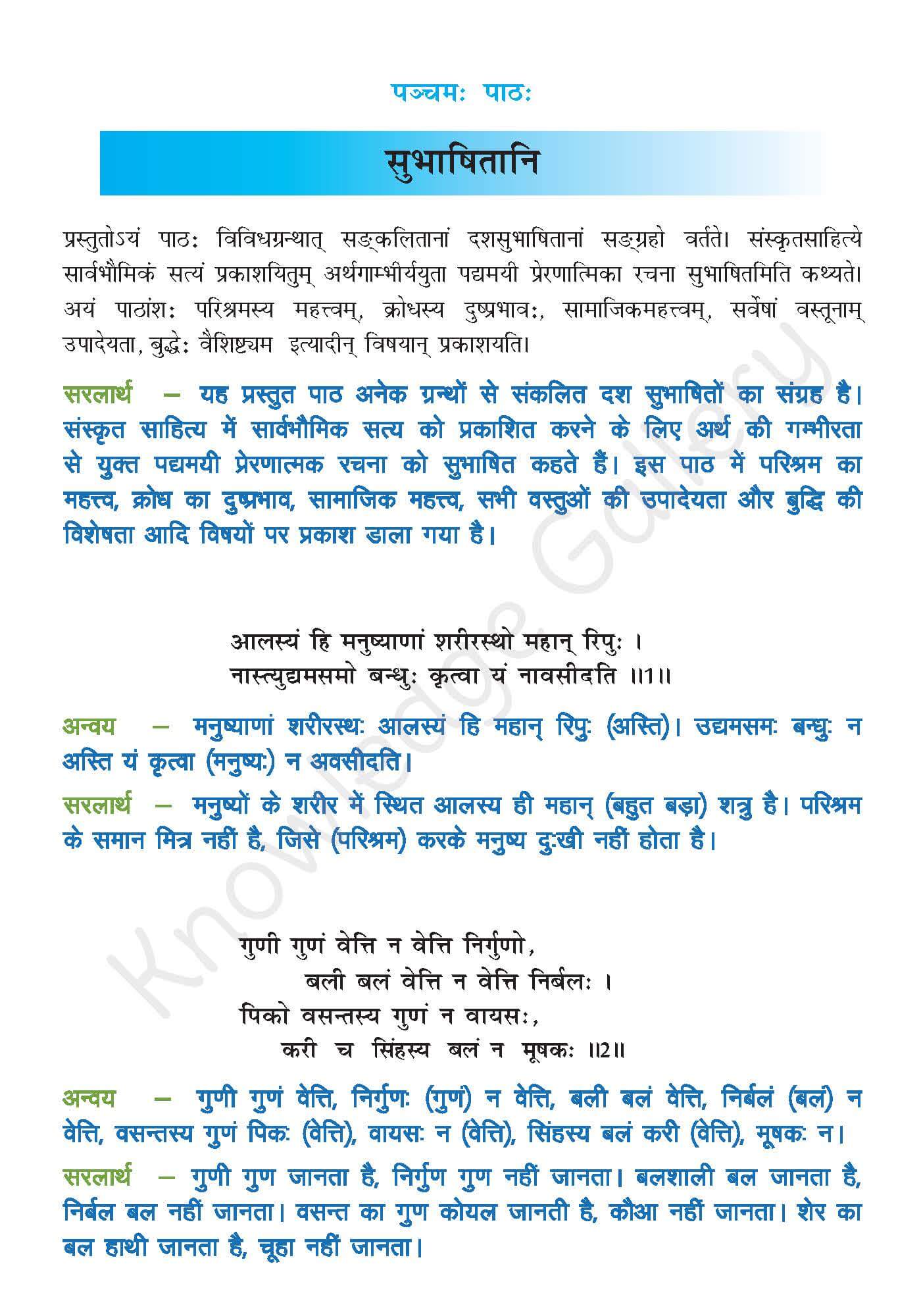 Class 10 Sanskrit Chapter 5 part 1