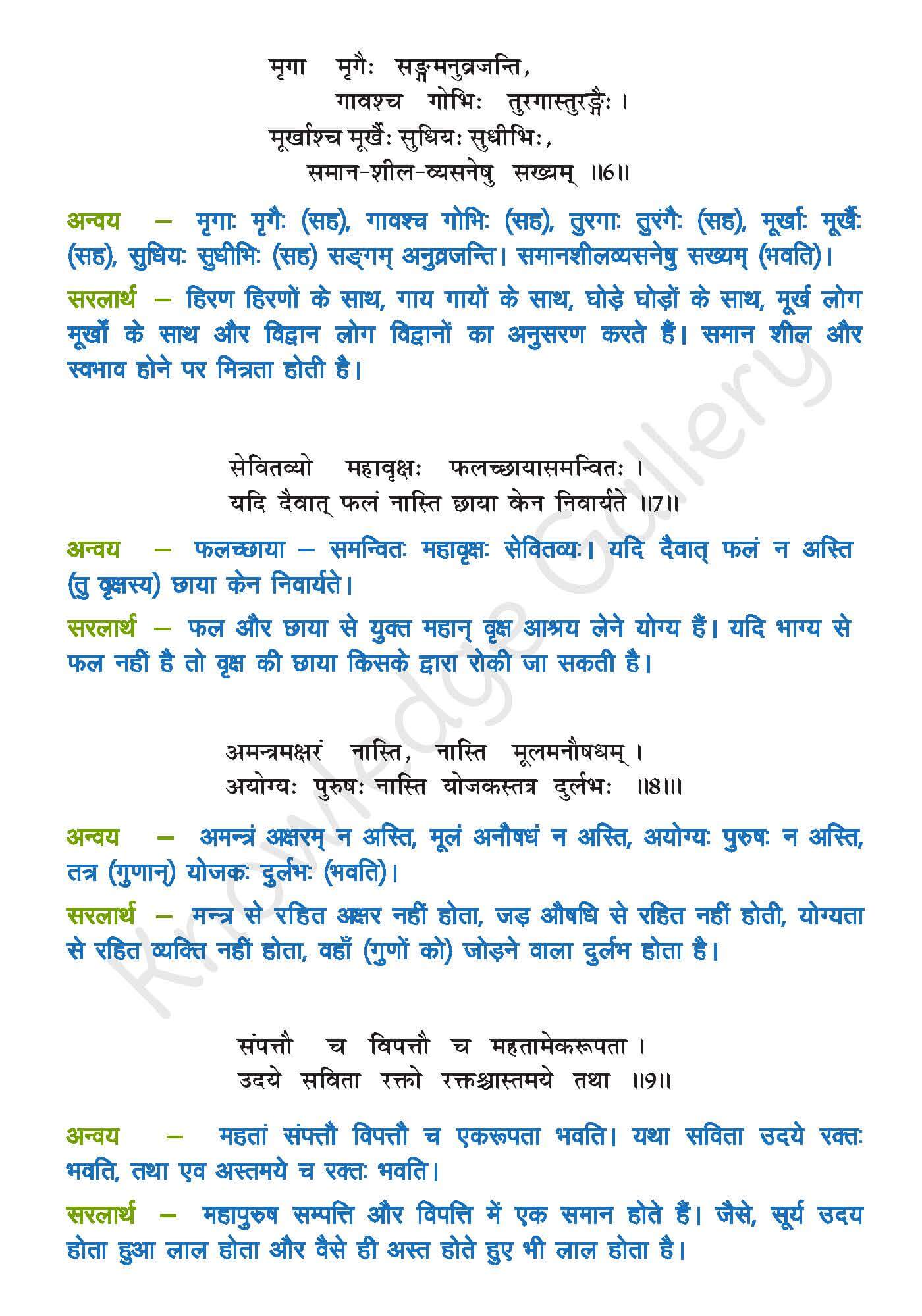 Class 10 Sanskrit Chapter 5 part 3