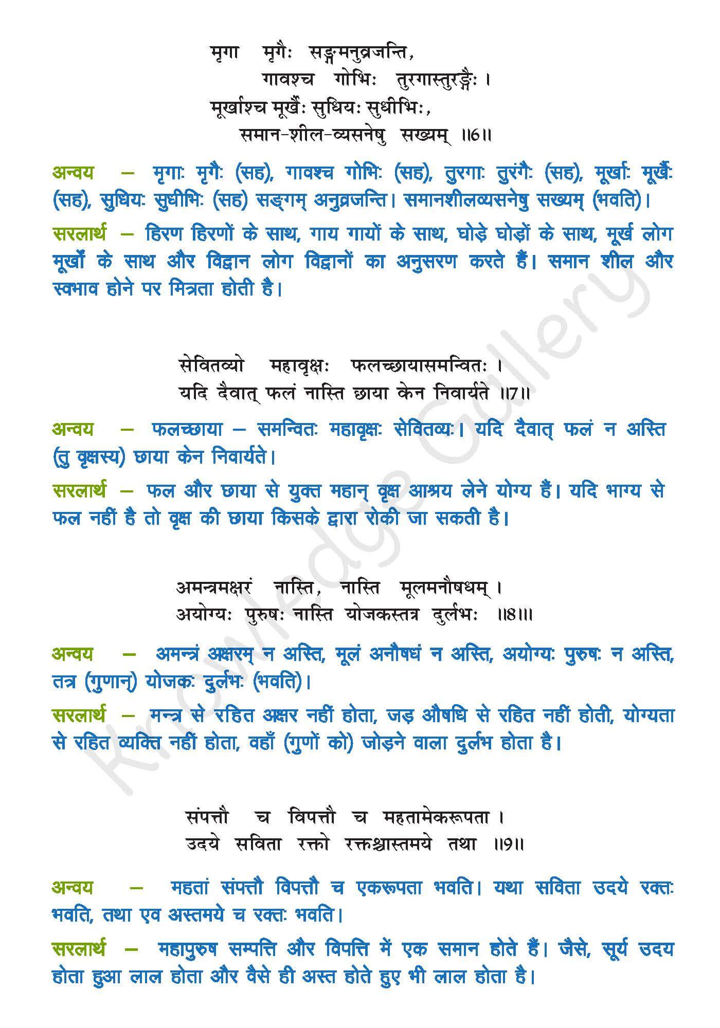 class-10-sanskrit-chapter-5-hindi-translation