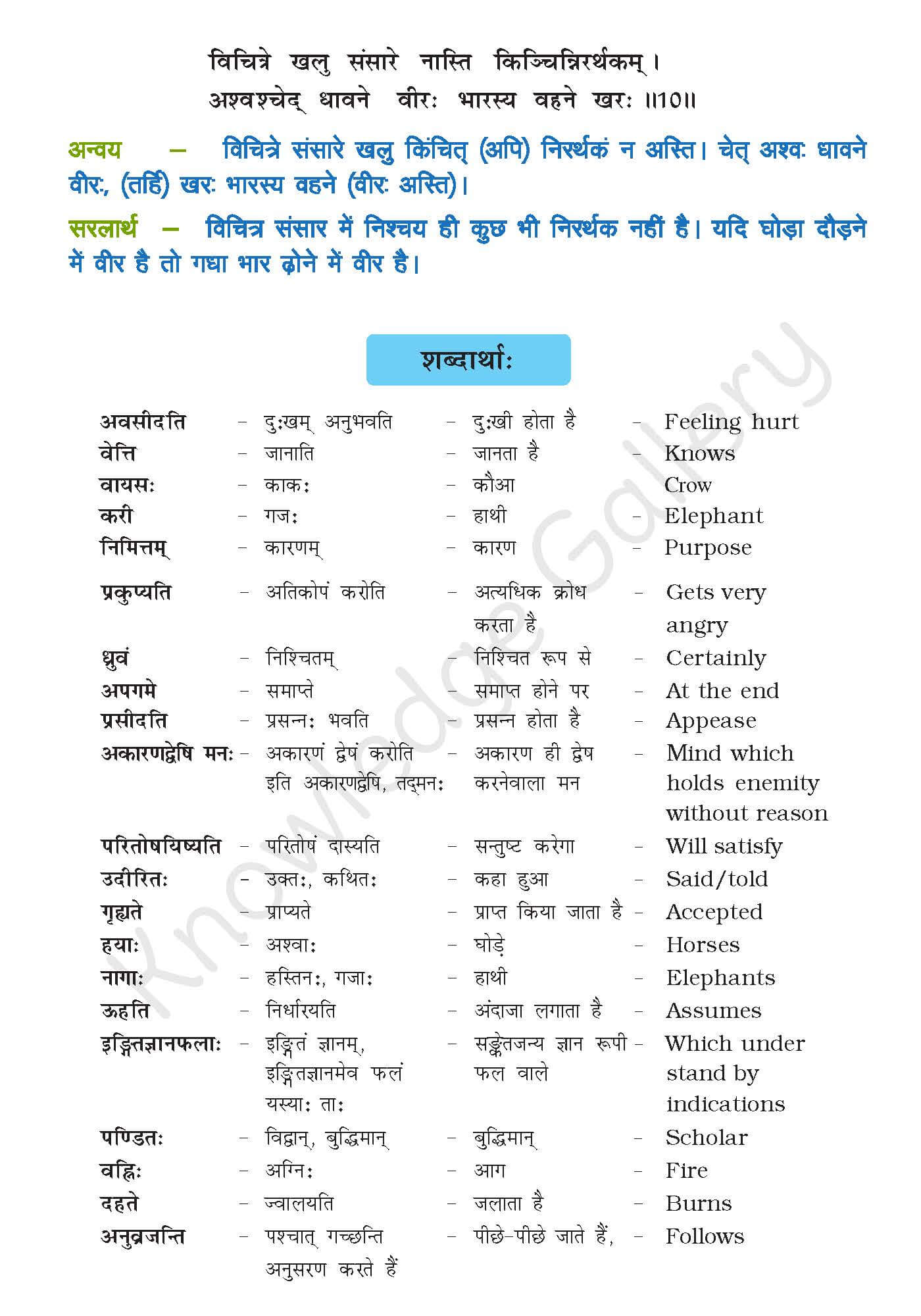 Class 10 Sanskrit Chapter 5 part 4