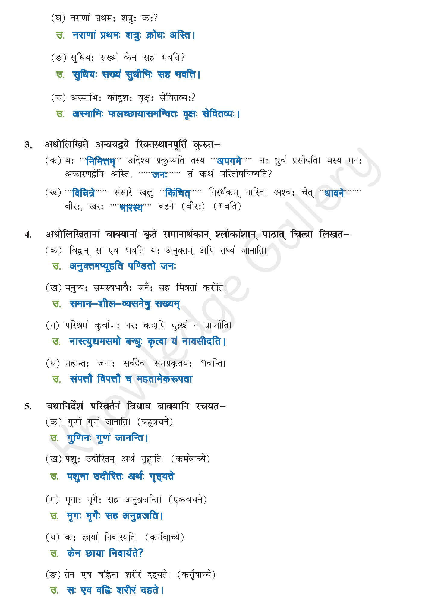 Class 10 Sanskrit Chapter 5 part 6
