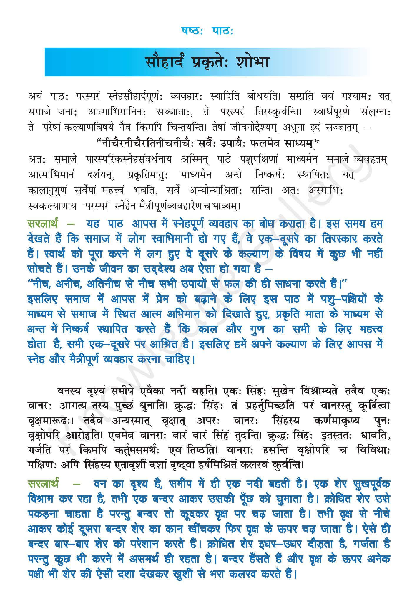 Class 10 Sanskrit Chapter 6 Hindi Translation