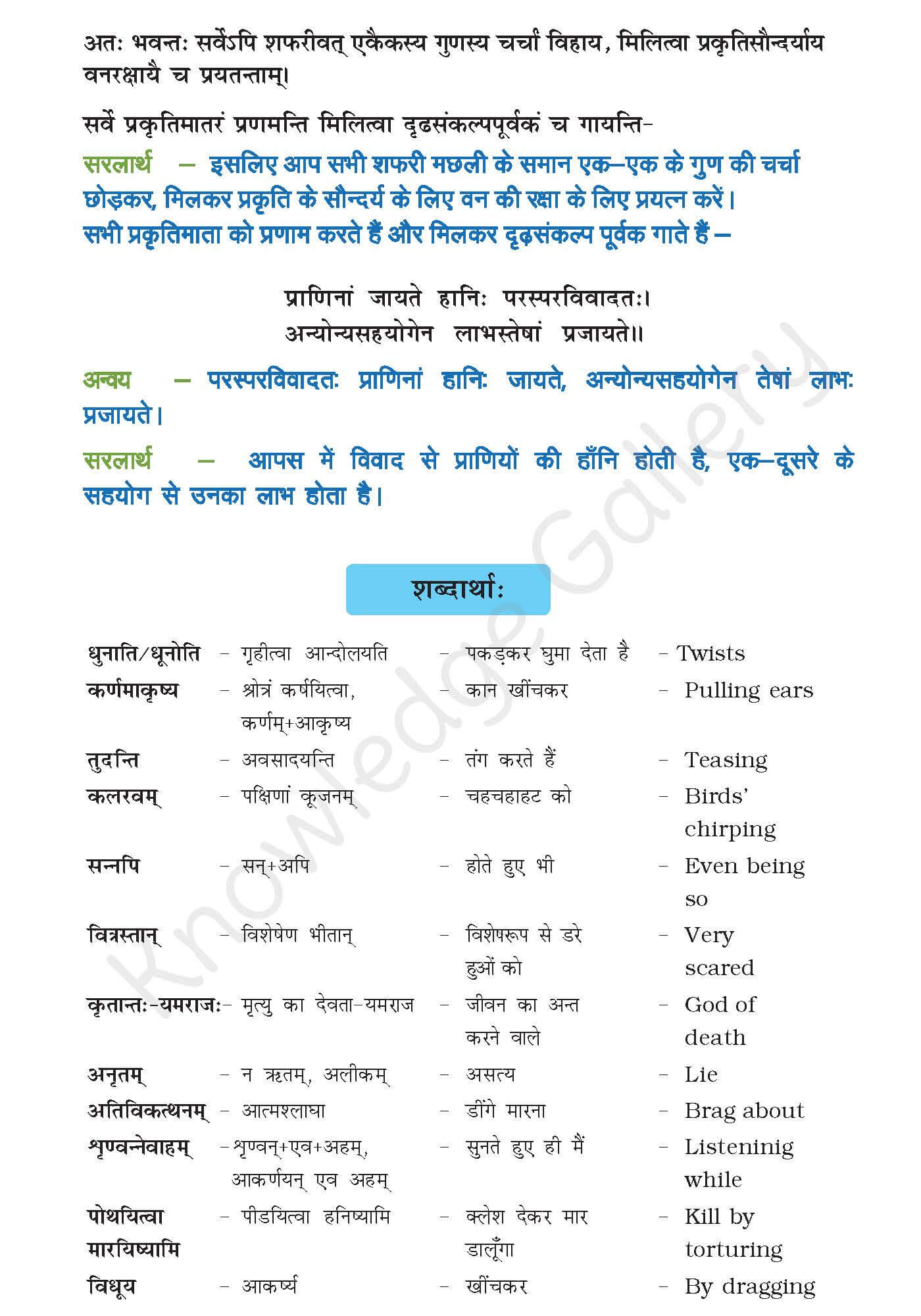 Class 10 Sanskrit Chapter 6 part 9