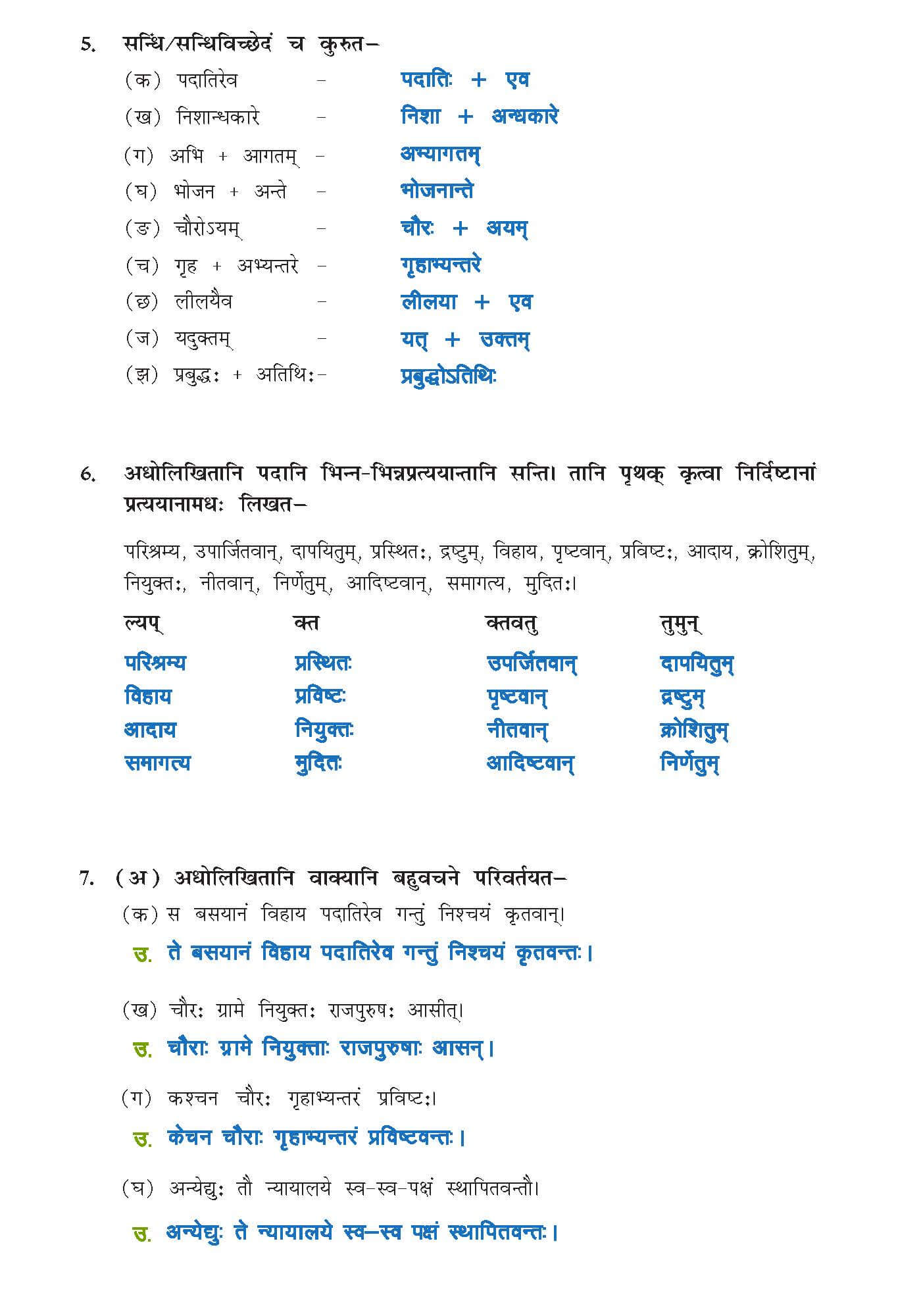 Class 10 Sanskrit Chapter 7 part 8