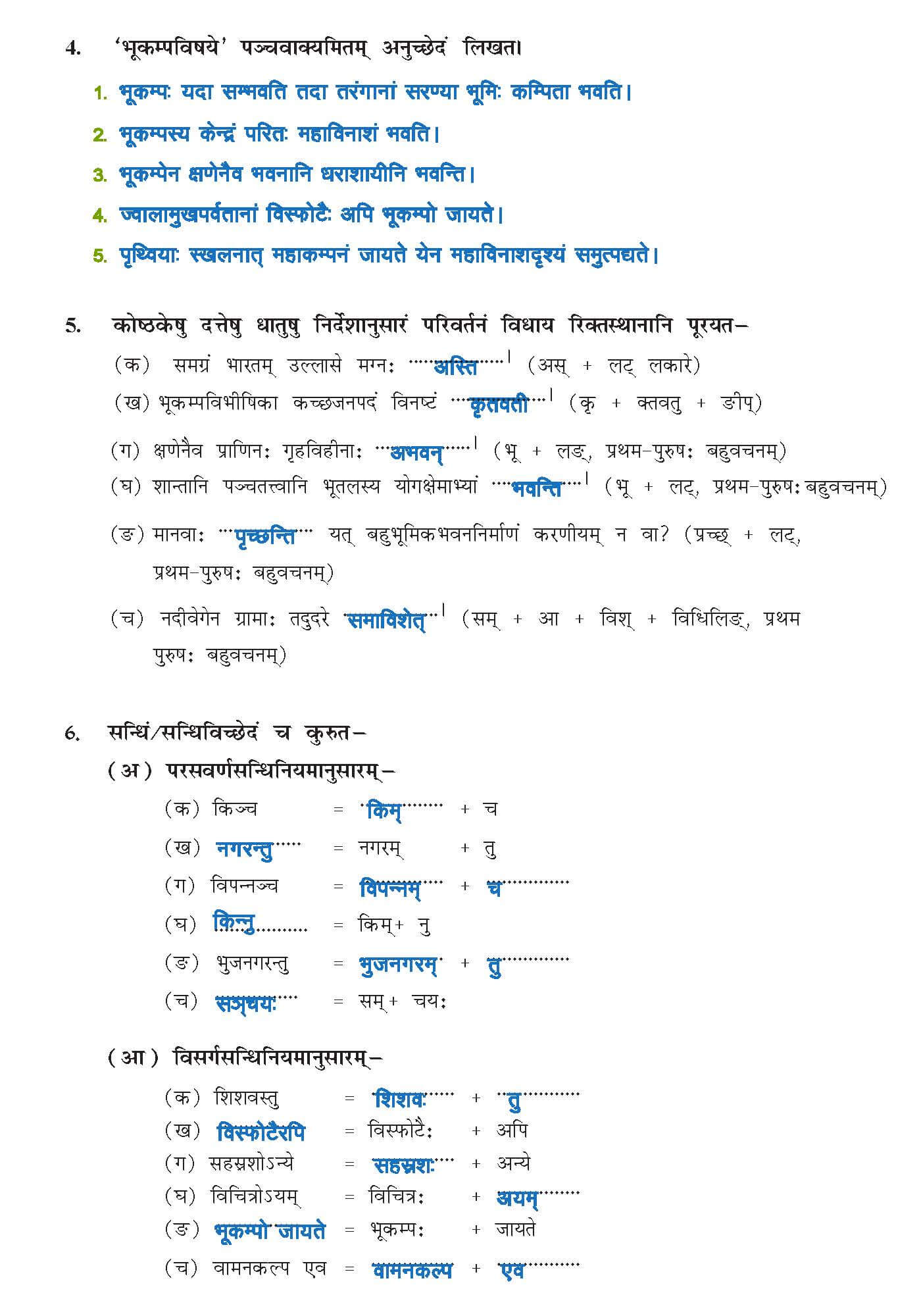 Class 10 Sanskrit Chapter 9 part 6