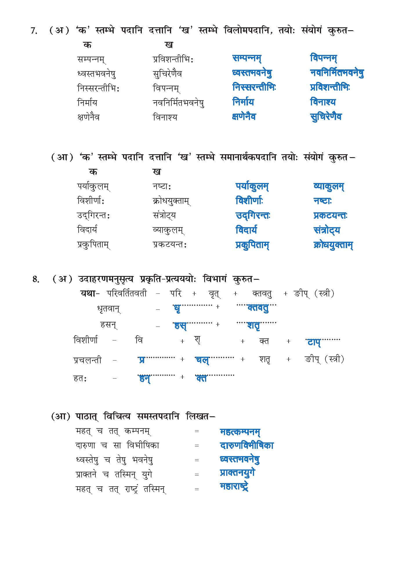 Class 10 Sanskrit Chapter 9 part 7