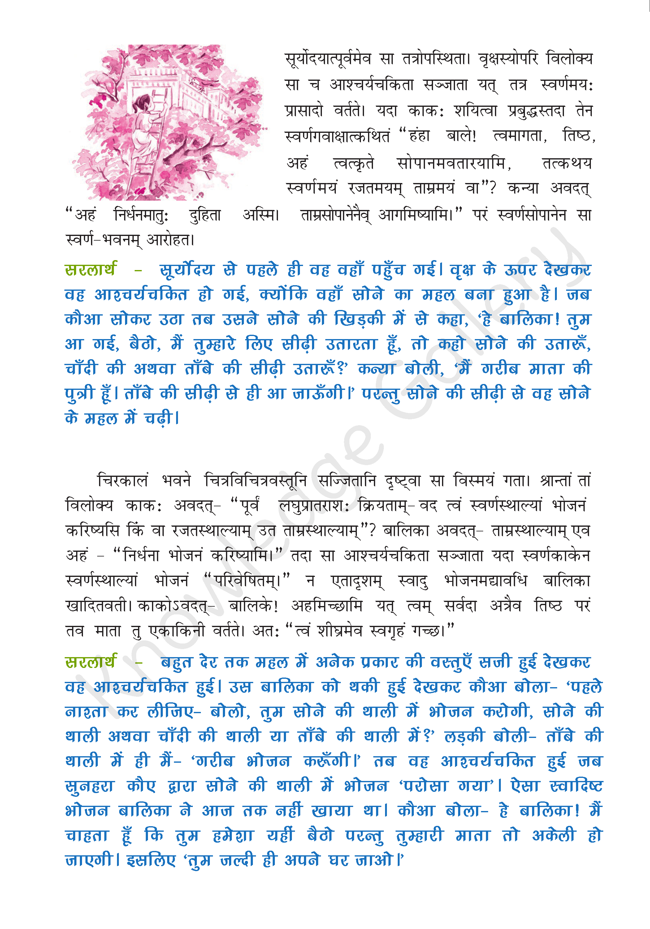 NCERT Solution For Class 9 Sanskrit Chapter 2 part 2