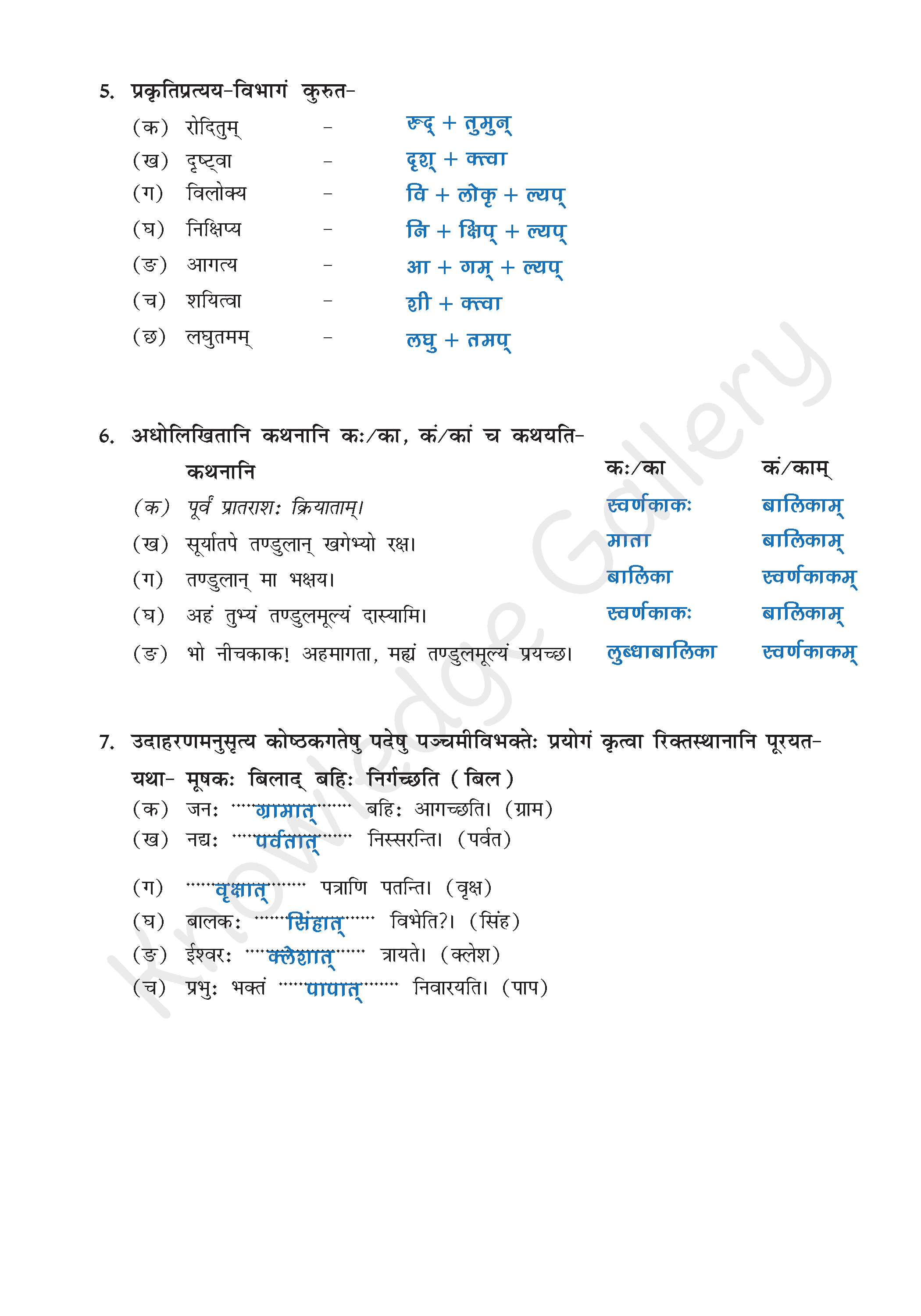 NCERT Solution For Class 9 Sanskrit Chapter 2 part 7