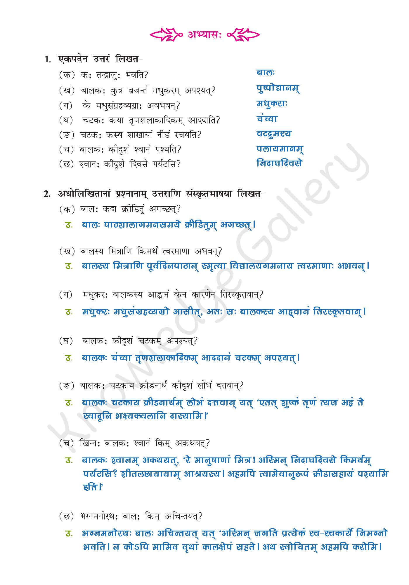 NCERT Solution For Class 9 Sanskrit Chapter 5 part 5