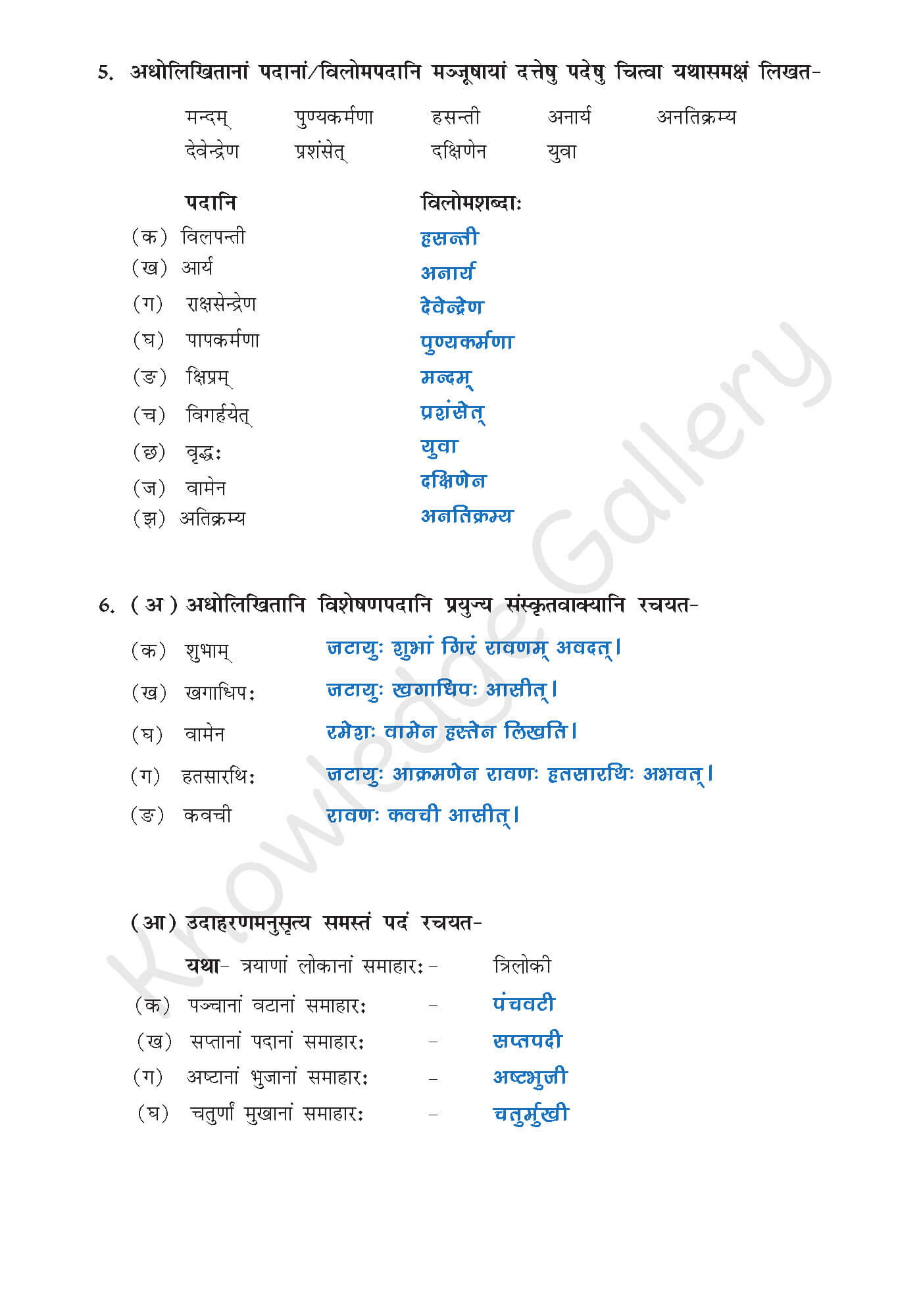 NCERT Solution For Class 9 Sanskrit Chapter 8 part 7
