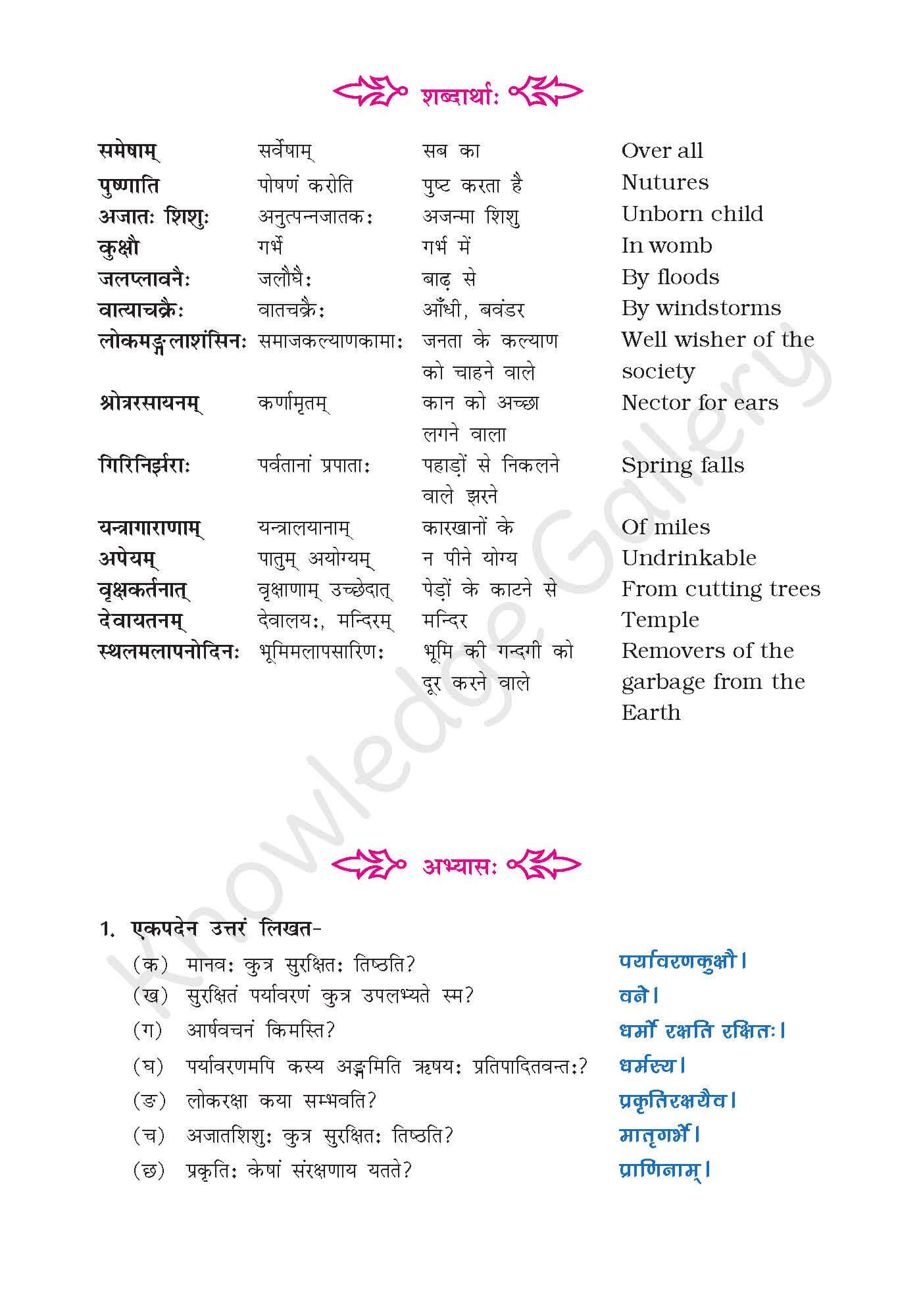 NCERT Solution For Class 9 Sanskrit Chapter 9 part 4